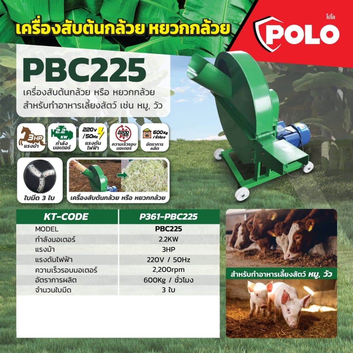 POLO เครื่องสับต้นกล้วย กำลังมอเตอร์ 2.2 กิโลวัตต์ (3 แรงม้า) รุ่น PBC225 อัตราการผลิต 600 กก. / ชม. ใช้สำหรับสับต้นกล้วย หยวกกล้วย ทำอาหารส